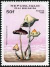 Colnect-1400-496-Psilocybe-zapotecorum.jpg