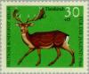 Colnect-155-045-Fallow-Deer-Dama-dama.jpg