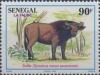 Colnect-2189-111-Savannah-Dwarf-Buffalo-Syncerus-caffer-nanus-savanensis.jpg