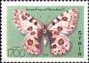 Colnect-2224-848-Apollo-Parnassius-apollo.jpg