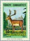 Colnect-2578-644-Fallow-Deer-Dama-dama.jpg