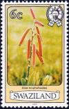 Colnect-2896-178-Aloe-kniphofioides.jpg