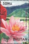 Colnect-3395-643-Sacred-Lotus-Nelumbo-nucifera-.jpg