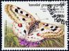 Colnect-3890-038-Apollo-Parnassius-apollo.jpg