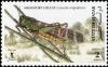 Colnect-4169-080-Migratory-Locust-Locusta-migratoria.jpg