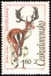 Colnect-441-120-Fallow-Deer-Dama-dama.jpg