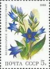 Colnect-581-800-Giant-Bellflower-Campanula-latifolia.jpg