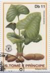 Colnect-938-193-Colocasia-esculenta.jpg