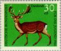 Colnect-152-568-Fallow-Deer-Dama-dama.jpg