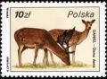 Colnect-1967-327-Fallow-Deer-Dama-dama.jpg