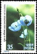 Colnect-2523-560-Himalayan-Flowers--Meconopsis-aculeata.jpg