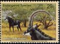 Colnect-2560-600-Giant-Sable-Antelope-Hippotragus-niger-variani-.jpg