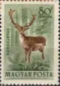 Colnect-597-449-Fallow-Deer-Dama-dama.jpg