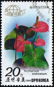 Colnect-2055-789-Flamingo-flower-Anthurium-andreanum.jpg