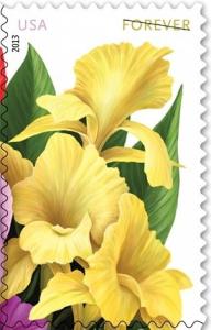 Colnect-1819-895-La-Florida-Yellow-cannas.jpg