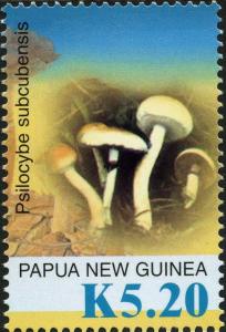 Colnect-3197-724-Psilocybe-subcubensis.jpg