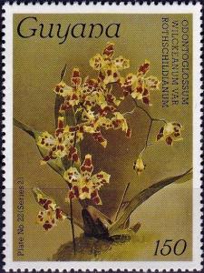 Colnect-4135-393-Odontoglossum-rothschildianum.jpg