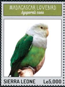 Colnect-3565-908-Grey-headed-Lovebird%C2%A0-%C2%A0Agapornis-canus.jpg