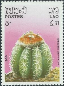 Colnect-4033-112-Melocactus-manzanus.jpg