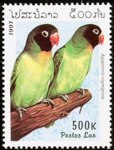 Colnect-1614-693-Black-cheeked-Lovebird-Agapornis-nigregenis.jpg