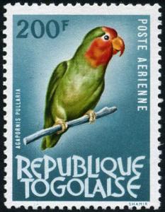 Colnect-5138-091-Red-headed-Lovebird-Agapornis-pullaria.jpg