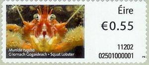 Colnect-1052-341-Squat-Lobster-Munida-rugosa-.jpg