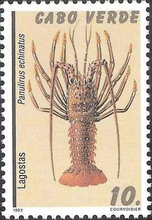 Colnect-1129-210-Brown-Spiny-Lobster-Panulirus-echinatus.jpg