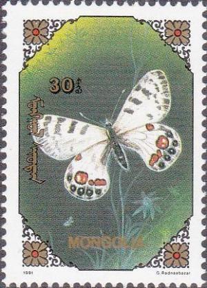 Colnect-1259-258-Regal-Apollo-Parnassius-charltonius.jpg