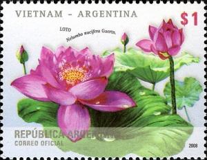 Colnect-1430-842-Sacred-lotus-Nelumbo-nucifera.jpg