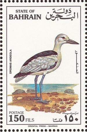 Colnect-1463-914-Crab-plover-Dromas-ardeola-.jpg