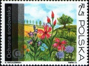 Colnect-2238-461-Flowers-on-meadow.jpg