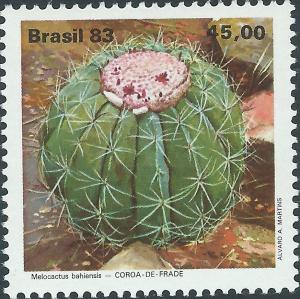 Colnect-2350-089-Melocactus-bahiensis.jpg