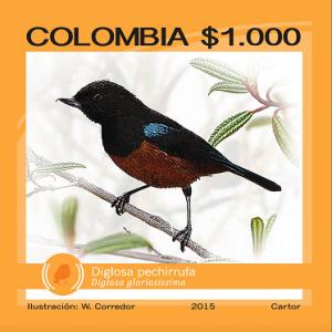 Colnect-2942-599-Chestnut-bellied-Flowerpiercer-Diglosa-gloriosissima.jpg