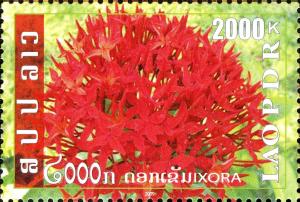 Colnect-3073-662-Lao-Flowers---Mari-Flower.jpg