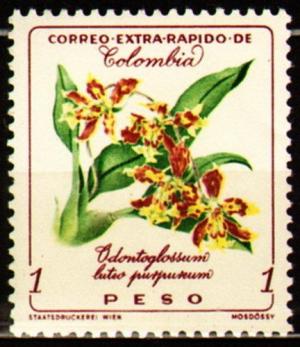 Colnect-3220-381-Odontoglossum-Luteo-Purpureum.jpg