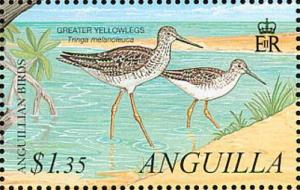 Colnect-3410-854-Greater-Yellowlegs-Tringa-melanoleuca.jpg