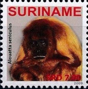 Colnect-4044-271-Alouatta-seniculus.jpg