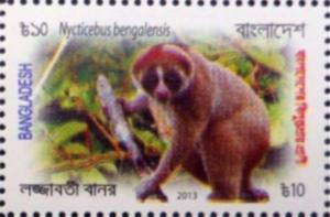 Colnect-4409-169-Bengal-slow-loris-Nycticebus-bengalensis.jpg