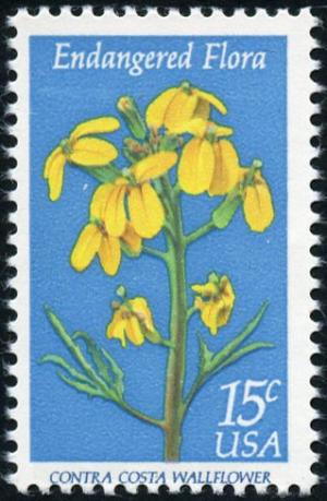 Colnect-4845-831-Endangered-Flora-Contra-Costa-Wallflower.jpg