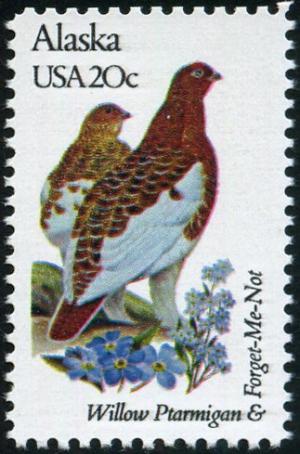 Colnect-5097-000-Alaska---Willow-Ptarmigan-Forget-Me-Not.jpg