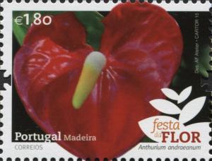 Colnect-5099-603-Flamingo-flower-Anthurium-andraeanum.jpg