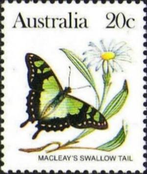 Colnect-725-295-Macleay-s-Swallow-Tail-Graphium-macleaynus.jpg