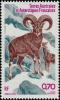 Colnect-888-113-Mouflon-Ovis-orientalis.jpg