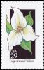 Colnect-5103-783-WildflowersLarge-Trillium.jpg