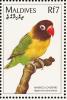 Colnect-1631-940-Black-masked-Lovebird-Agapornis-personata.jpg