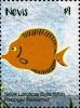 Colnect-5164-937-Yellow-Longnose-Butterflyfish.jpg