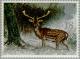 Colnect-122-799-Fallow-Deer-Dama-dama.jpg