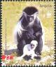 Colnect-1240-380-Angola-Colobus-Colobus-angolensis.jpg