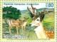 Colnect-138-616-Mesopotamian-Fallow-Deer-Dama-dama-mesopotamica.jpg