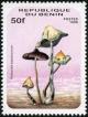 Colnect-1400-496-Psilocybe-zapotecorum.jpg